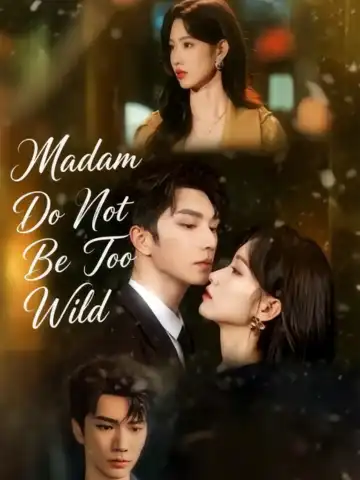Madam Do Not Be Too Wild poster