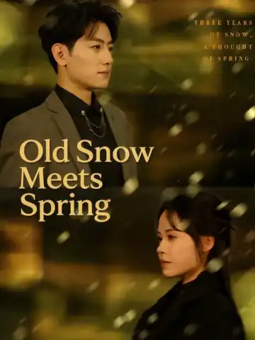 Old Snow Meets Spring poster