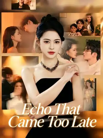 Echo That Came Too Late poster