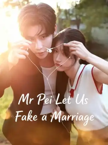 Mr Pei Let Us Fake a Marriage poster
