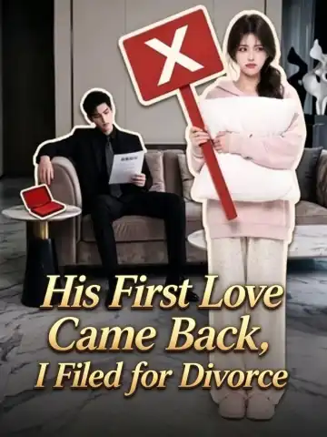 His First Love Came Back, I Filed for Divorce poster