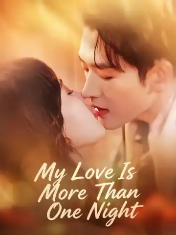 My Love Is More Than One Night poster