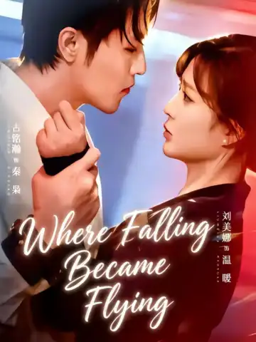 Where Falling Became Flying poster