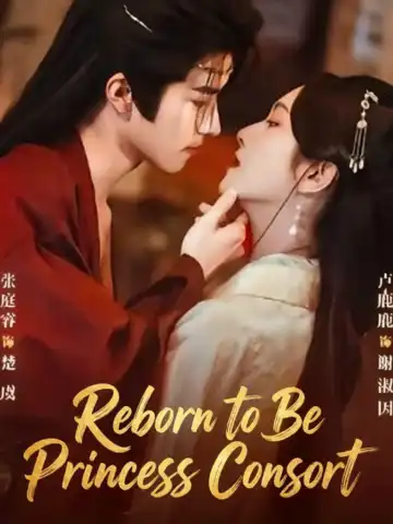 Reborn to Be Princess Consort poster