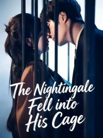 The Nightingale Fell into His Cage poster
