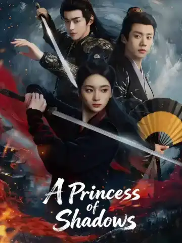 A Princess of Shadows poster