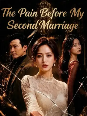 The Pain Before My Second Marriage poster