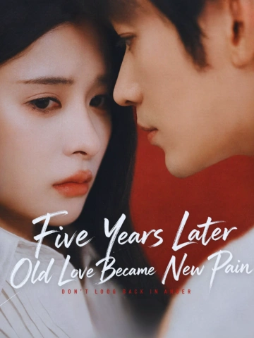 Five Years Later,Old Love Became New Pain poster