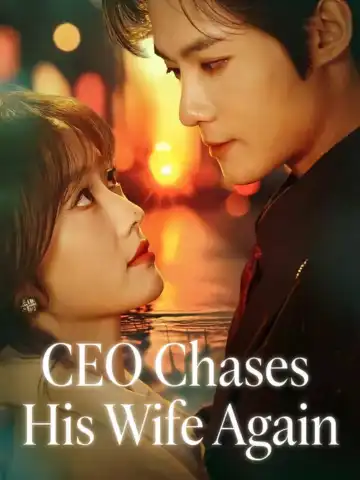 CEO Chases His Wife Again poster