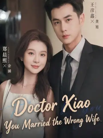 Doctor Xiao, You Married the Wrong Wife poster