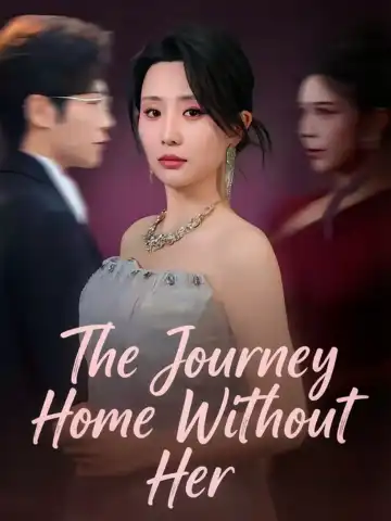 The Journey Home Without Her poster