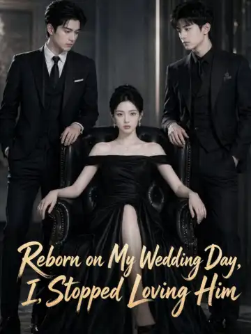 Reborn on My Wedding Day, I Stopped Loving Him poster