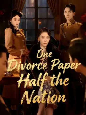 One Divorce Paper Half the Nation poster