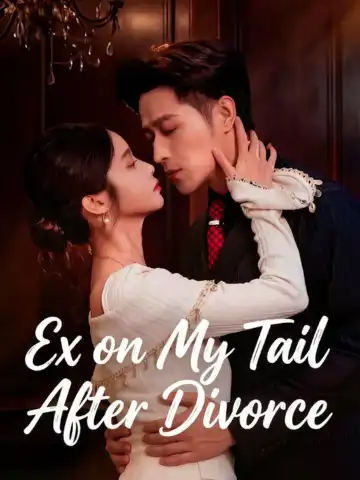 Ex on My Tail After Divorce poster