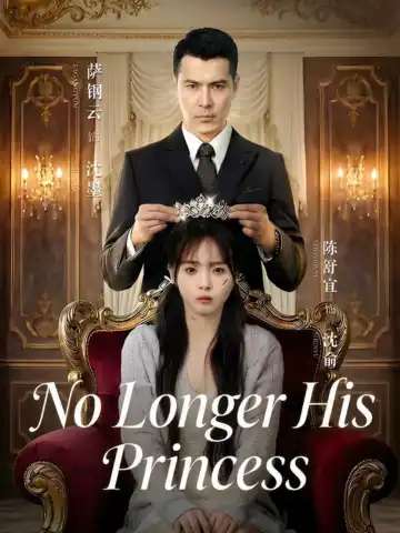 No Longer His Princess poster