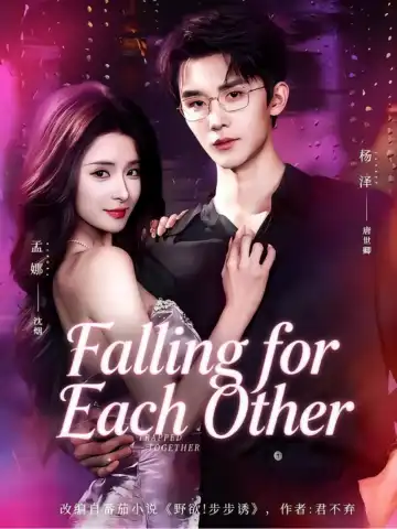 Falling for Each Other poster