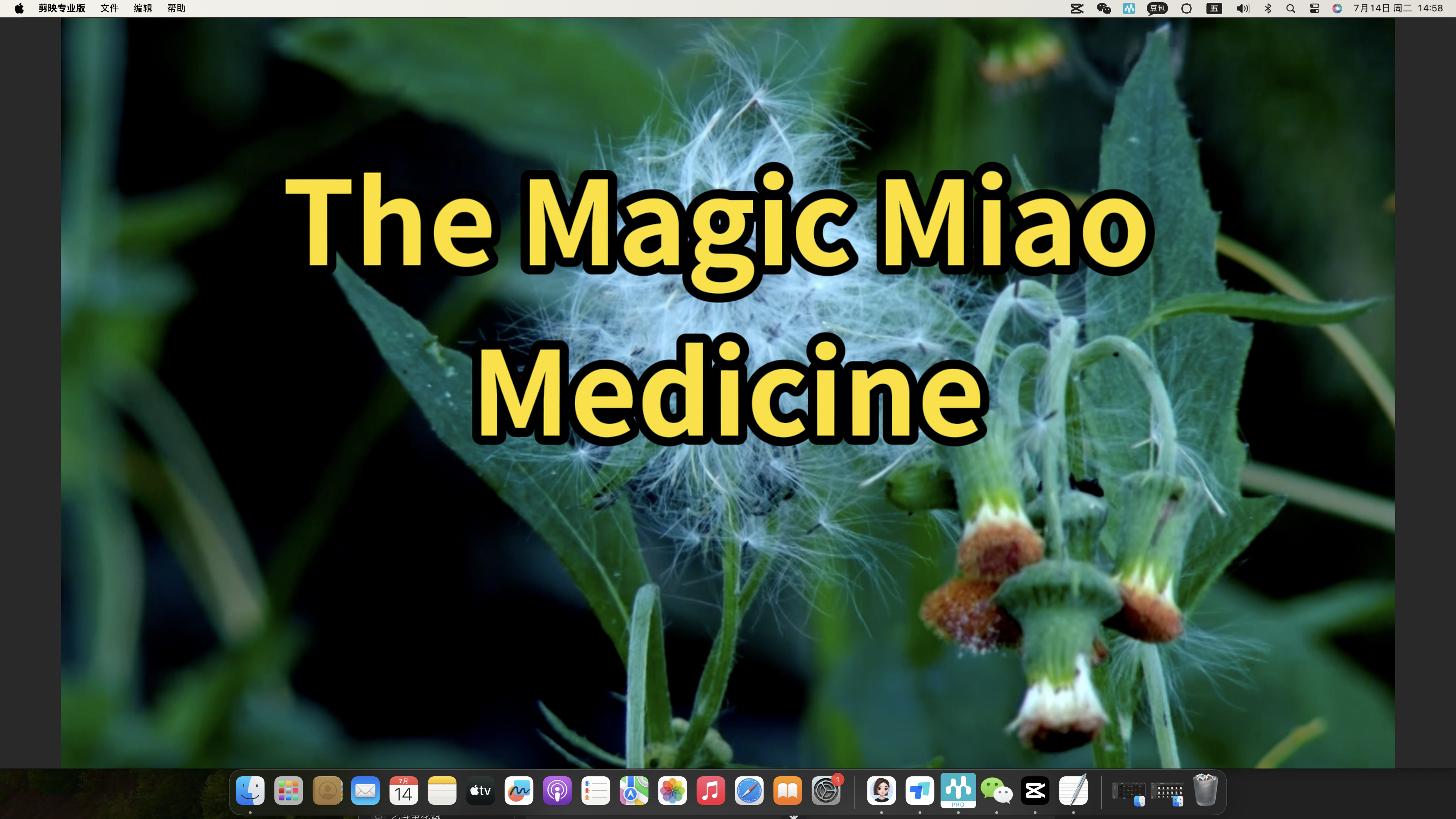 The Magic Miao Medicine poster
