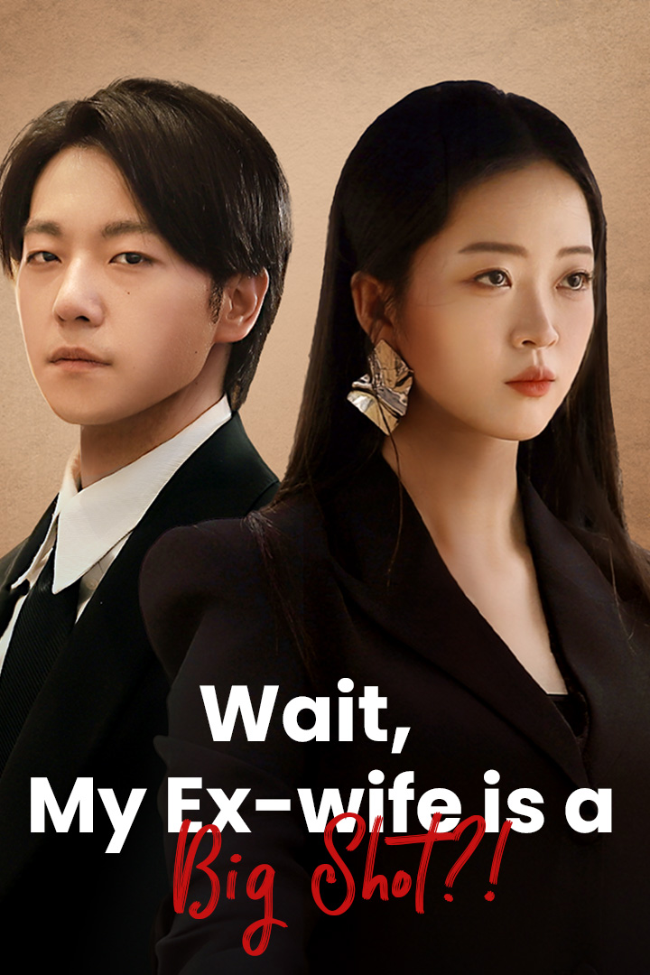 Wait, My Ex-wife is a Big Shot?! poster