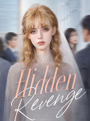 Hidden Revenge poster