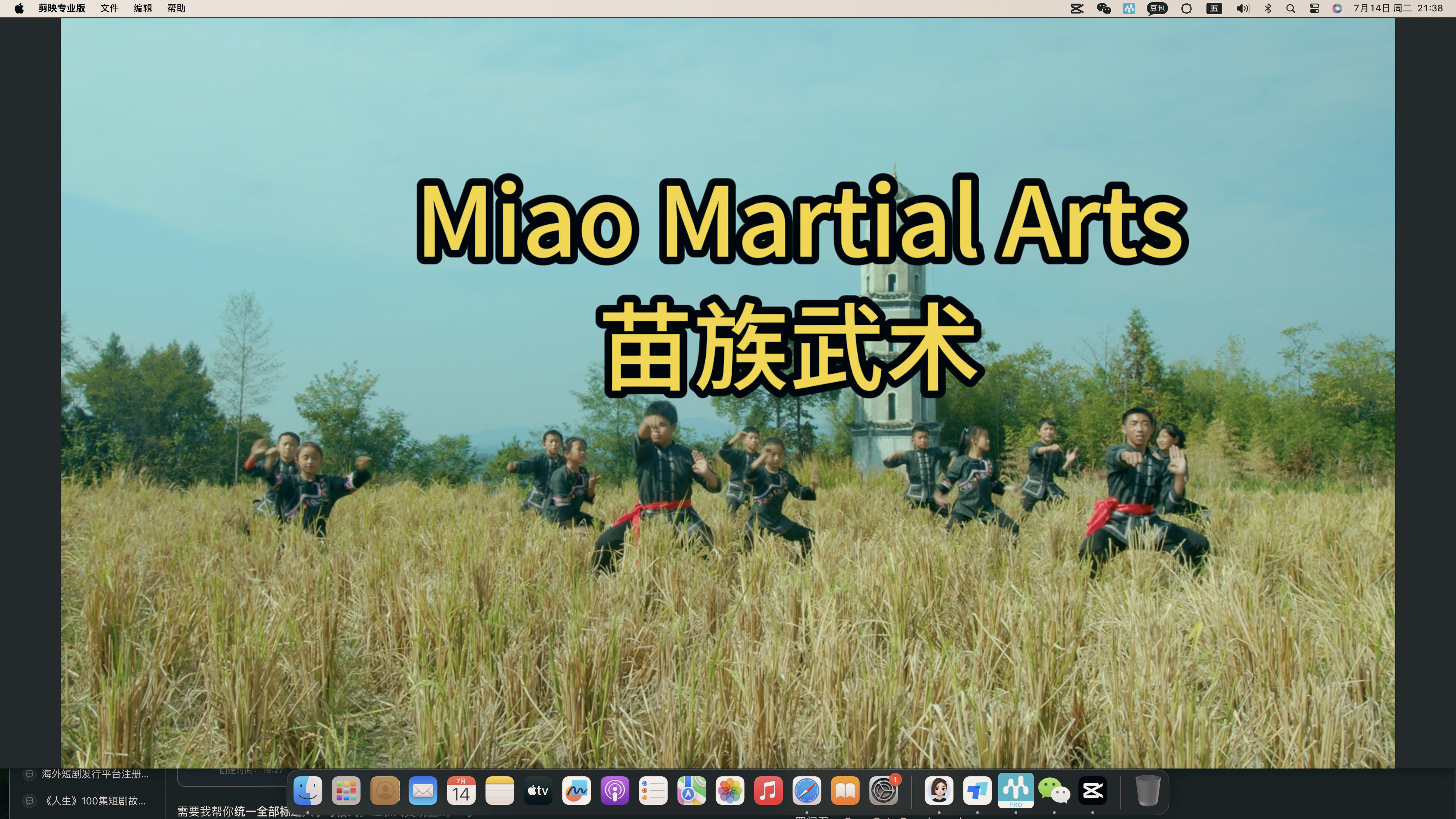 Miao Martial Arts poster