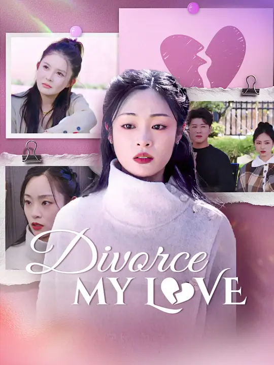 Divorce, My Love poster