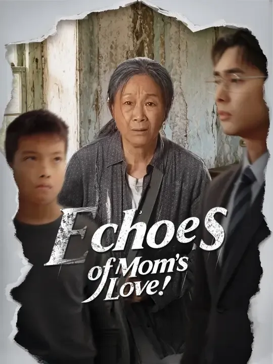 Echoes of Mom's Love poster
