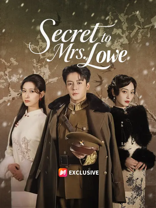 Secret to Mrs. Lowe poster