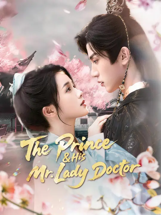 The Prince & His Mr. Lady Doctor poster