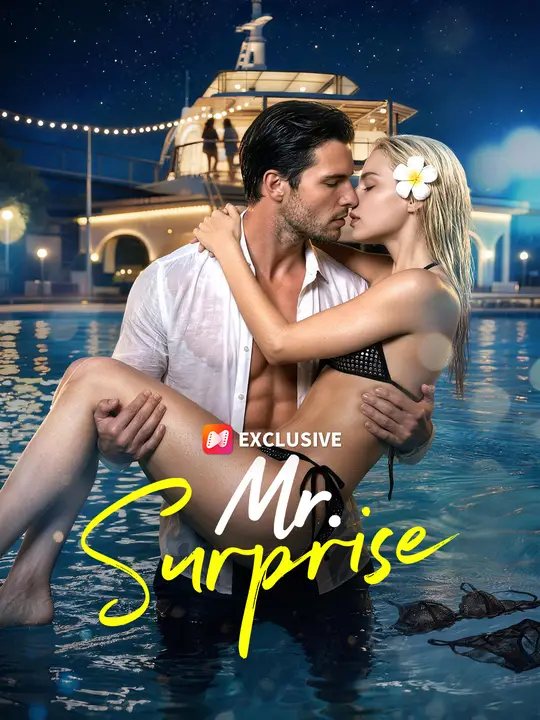 Mr. Surprise cover