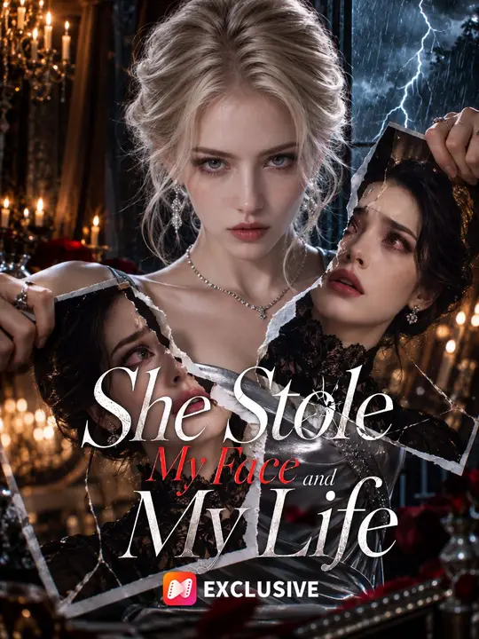 She Stole My Face And My Life poster
