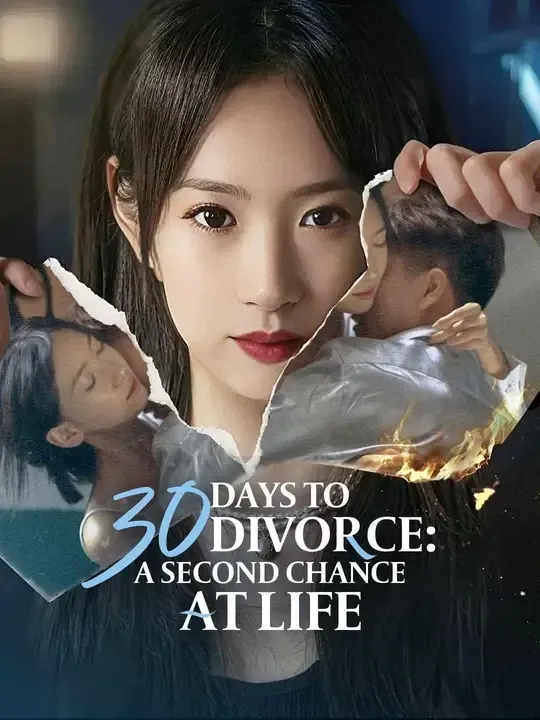 30 Days to Divorce: A Second Chance at Life poster
