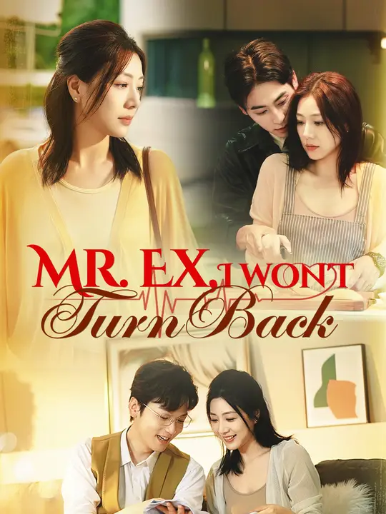 Mr. Ex, I Won't Turn Back poster