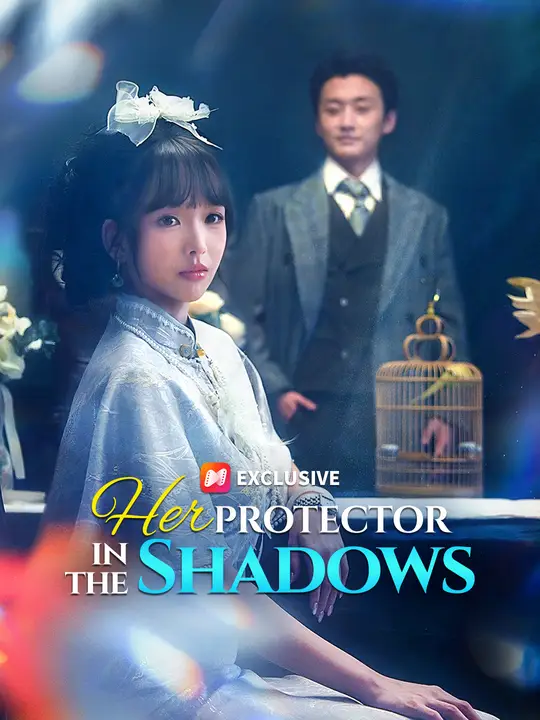 Her Protector in the Shadows poster