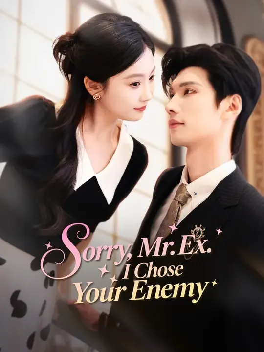 Sorry, Mr. Ex. I Chose Your Enemy poster