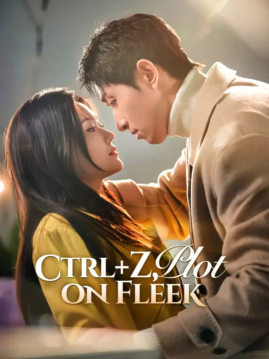 Ctrl+Z, Plot on Fleek cover