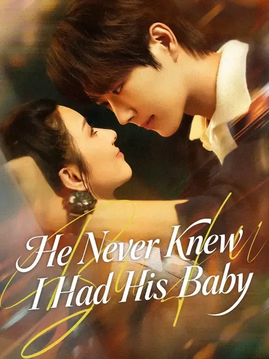 He Never Knew I Had His Baby poster
