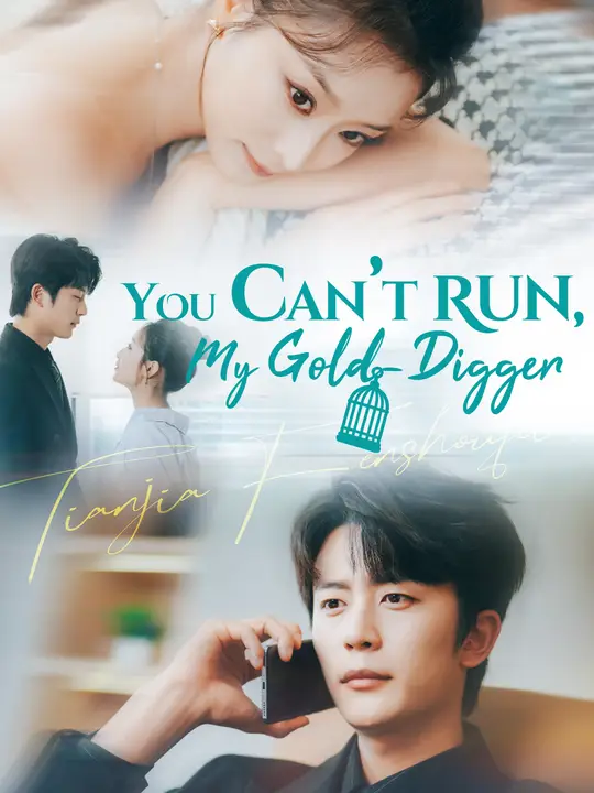 You Can't Run, My Gold-Digger poster