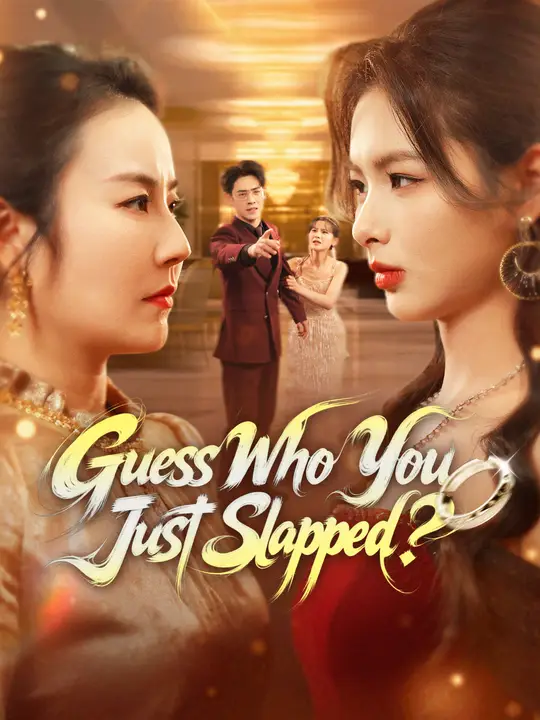 Guess Who You Just Slapped? poster