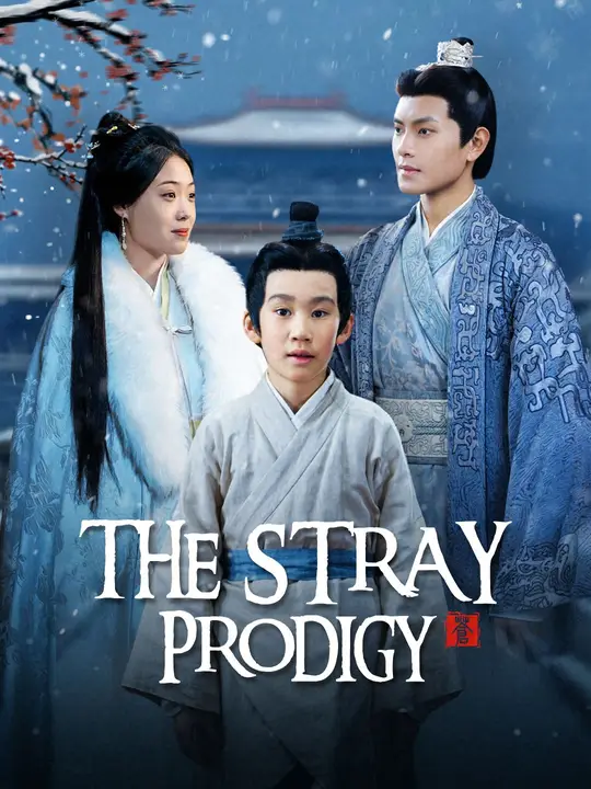 The Stray Prodigy poster