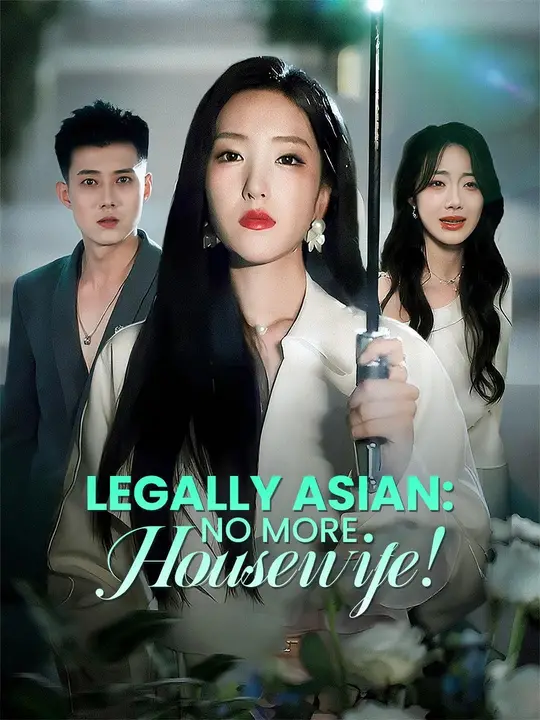 Legally Asian: No More Housewife! poster