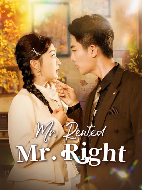 Mr. Rented, Mr. Right poster
