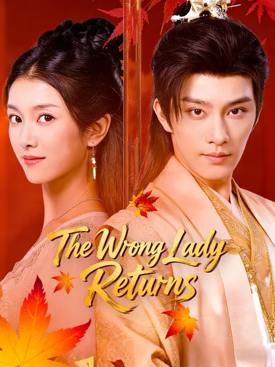 The Wrong Lady Returns poster
