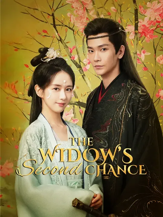 The Widow's Second Chance poster