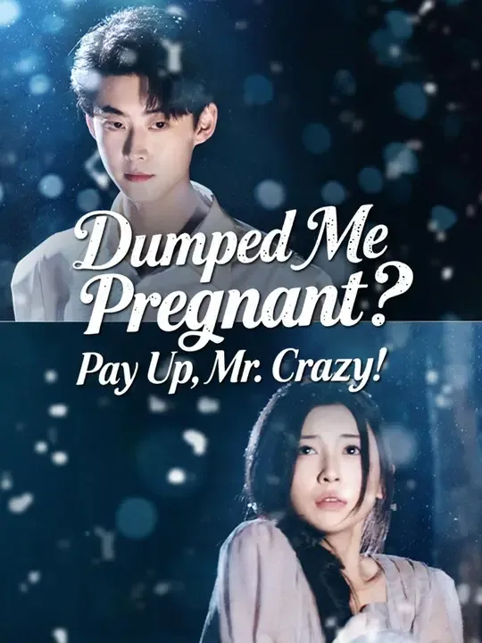(Dubbed)Dumped Me Pregnant? Pay Up, Mr. Crazy! cover