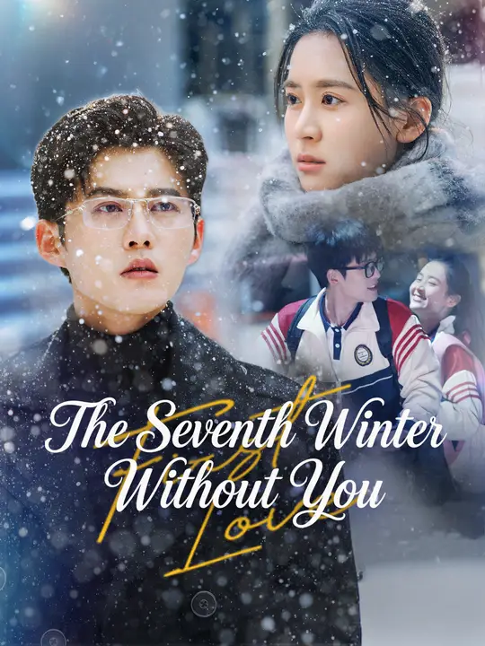 The Seventh Winter Without You poster