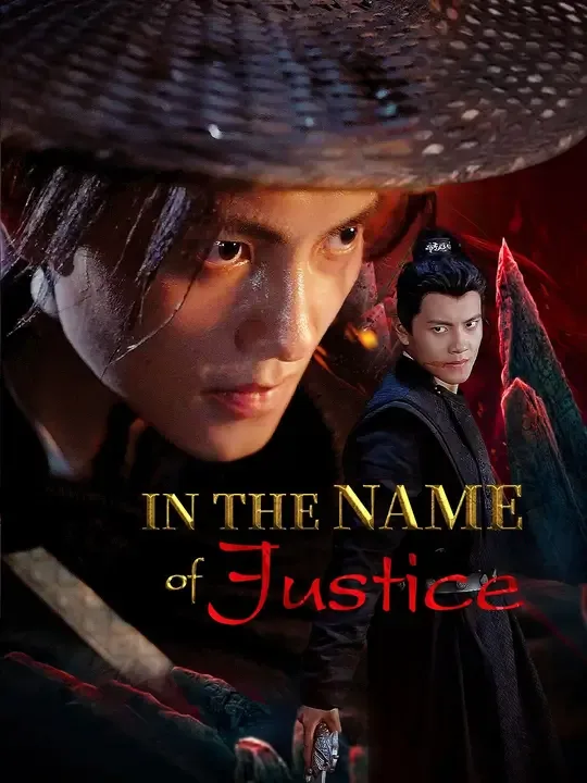 In the Name of Justice poster