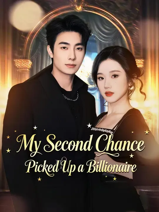 My Second Chance Picked Up a Billionaire poster