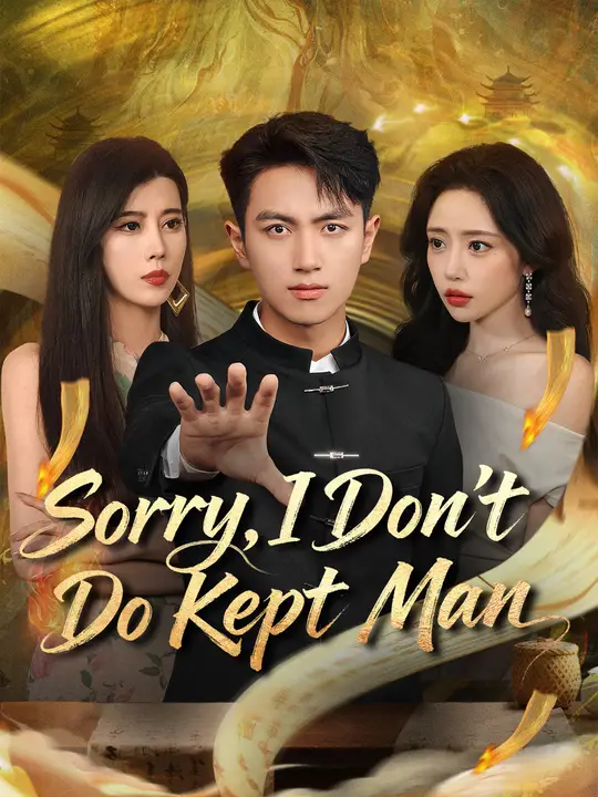 Sorry, I Don't Do Kept Man poster