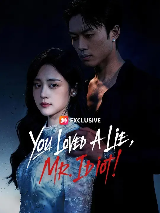 You Loved A Lie, Mr. Idiot! poster