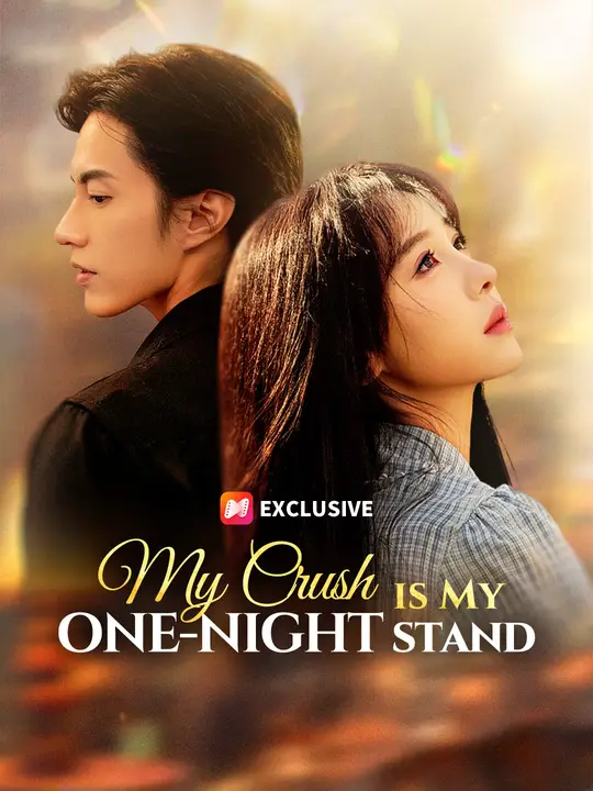 My Crush is My One-Night Stand poster